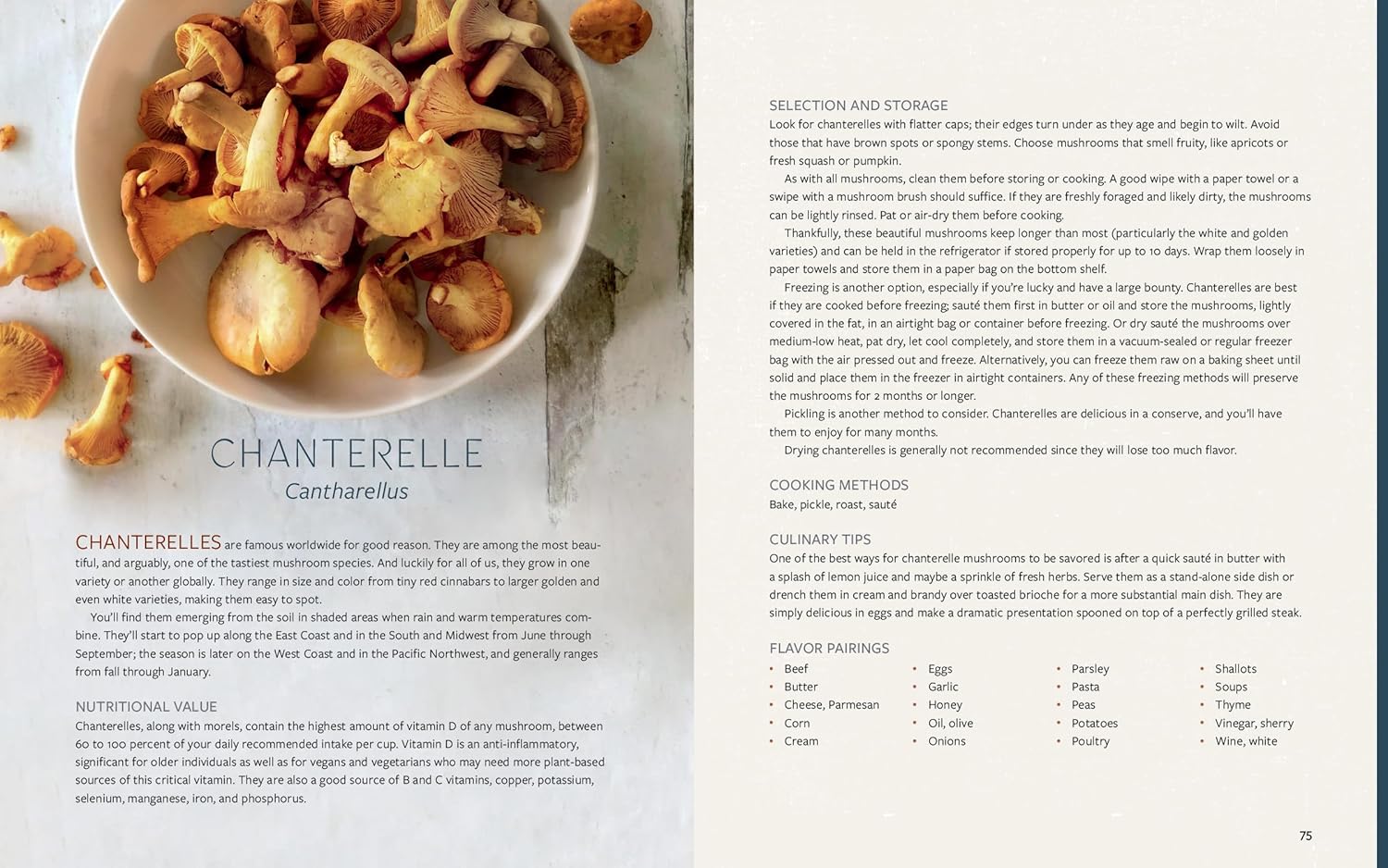 Mushroom Gastronomy: The Art of Cooking with Mushrooms Hardcover – June 4, 2024