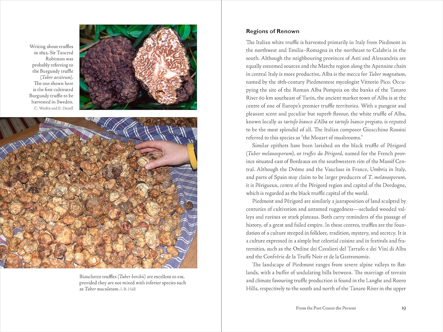 Taming the Truffle: The History, Lore, and Science of the Ultimate Mushroom