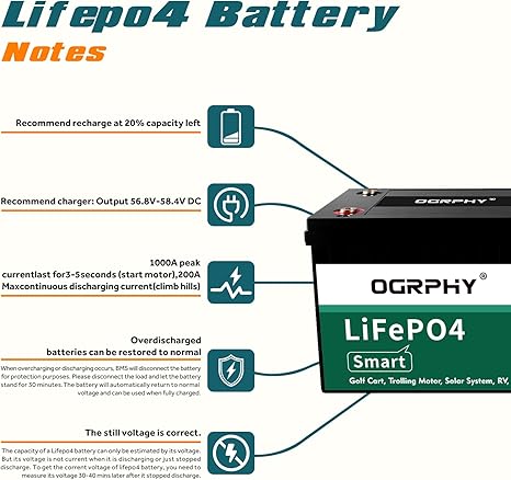 48 Volt Lithium Battery for Golf Cart with 18A Charger, 48V Lithium Battery with 200A BMS, LCD & Mobile Monitor, 5.12kWh with 10.24kW Output, 1000A Peak Current for Golf Cart(100AH)
