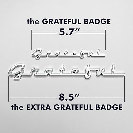 The Grateful Car Badge Emblem in Chrome - Regular
