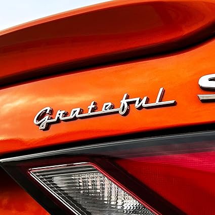 The Grateful Car Badge Emblem in Chrome - Regular