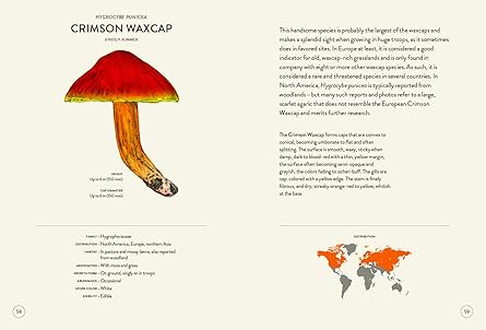 Fungi: A Species Guide (Gems of Nature) Hardcover