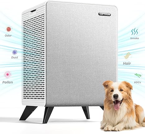 Air Purifiers for Home Large Room Up to 2250 ft² - Dual 3-Stage Filter of Washable Filter and True HEPA Filter with AQI, Auto Mode, Sleep Mode - Remove 99% of Smoke Allergies Pet Dander Odor