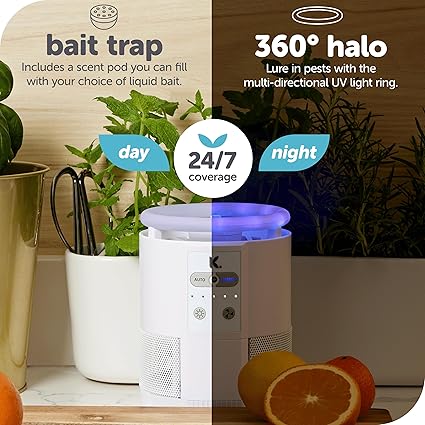 Katchy Duo Indoor Insect Trap with Scent Pod - Fan Powered with UV Light - Fruit Fly Traps for Indoors - for Fruit Flies, Gnats, Mosquitoes, Moths (Black)