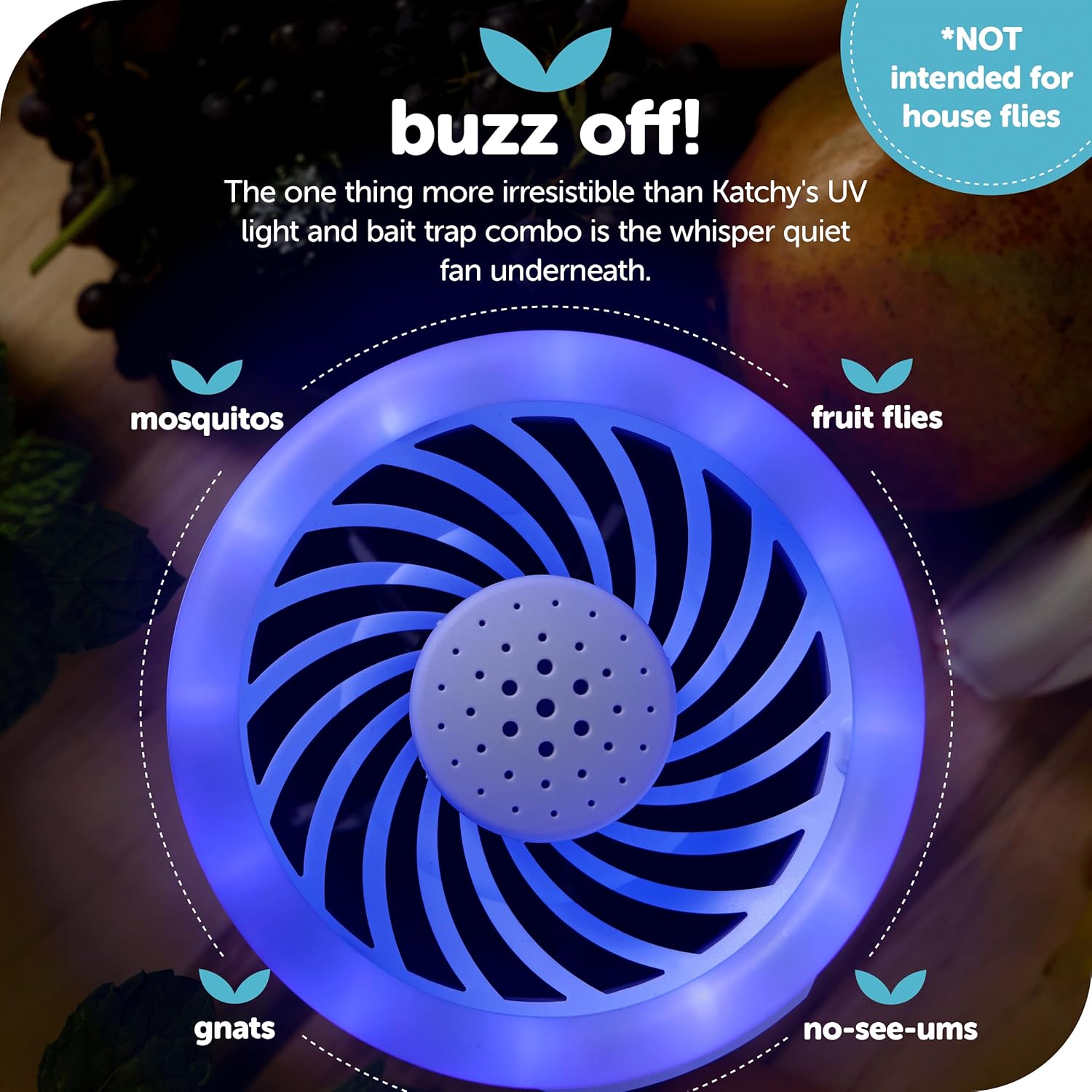 Katchy Duo Indoor Insect Trap with Scent Pod - Fan Powered with UV Light - Fruit Fly Traps for Indoors - for Fruit Flies, Gnats, Mosquitoes, Moths (Black)