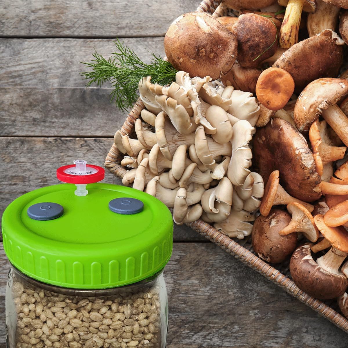 Bluwtpoclan 8Pcs Wide Mouth Liquid Culture Lids,Plastic Mason Jar Lid with 0.22um PTFE Syringe Filter & 20mm Self Healing Injection Ports For Mushroom