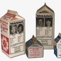 Milk Carton Misplaced Kids