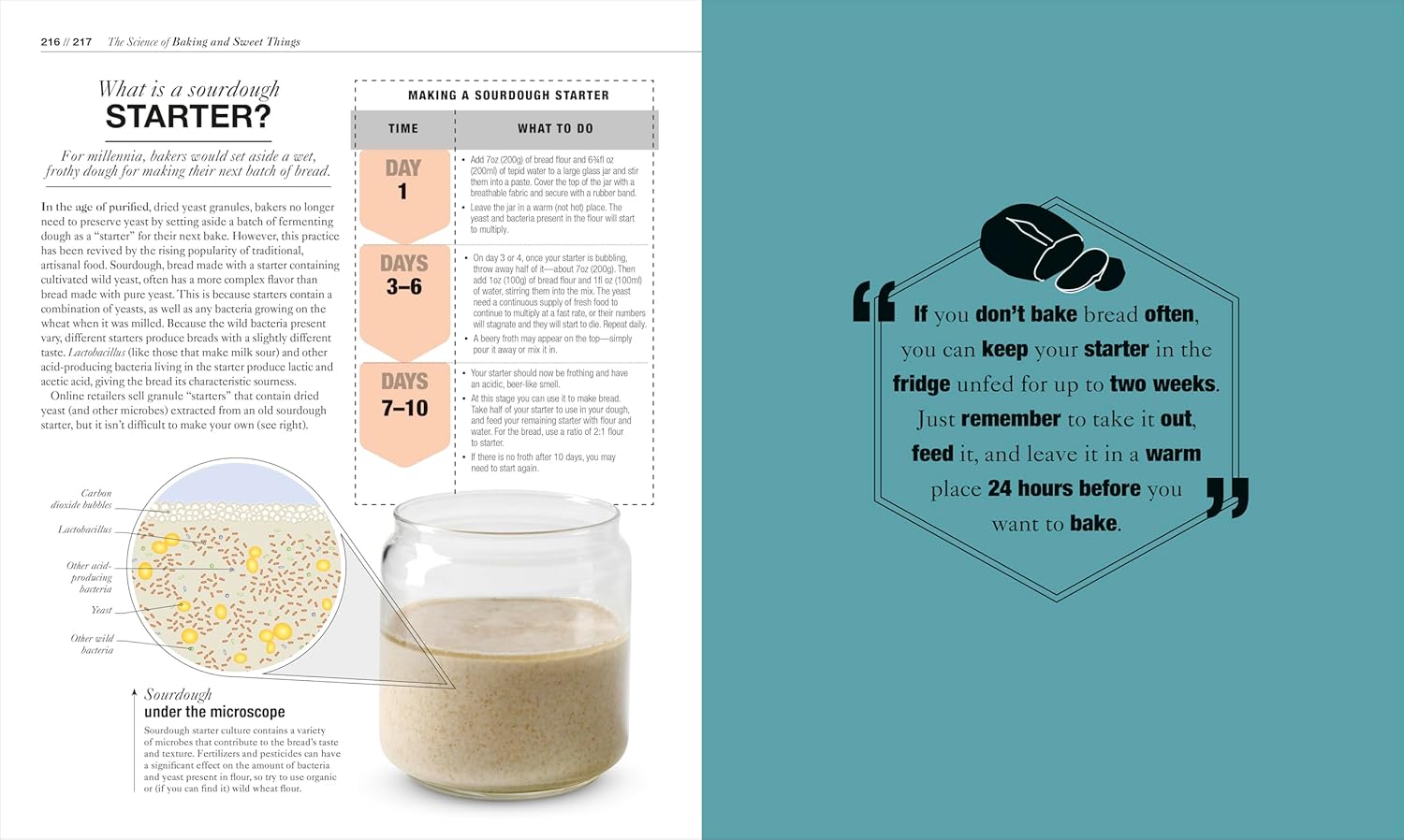 The Science of Cooking: Every Question Answered to Perfect Your Cooking Hardcover – September 19, 2017 by Dr. Stuart Farrimond