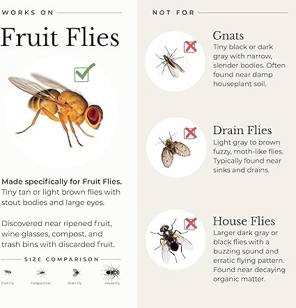 Wondercide - Fruit Fly Trap for Kitchen, Home, and Indoor Areas - Fruit Fly Killer - Pet and People Safe - Made in USA & Plant Based - 5.4 oz - 2 Pack