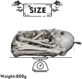 Bag of Bones Halloween Life Size Skeleton Skull for Decoration and Spooky Graveyard 28 PCS