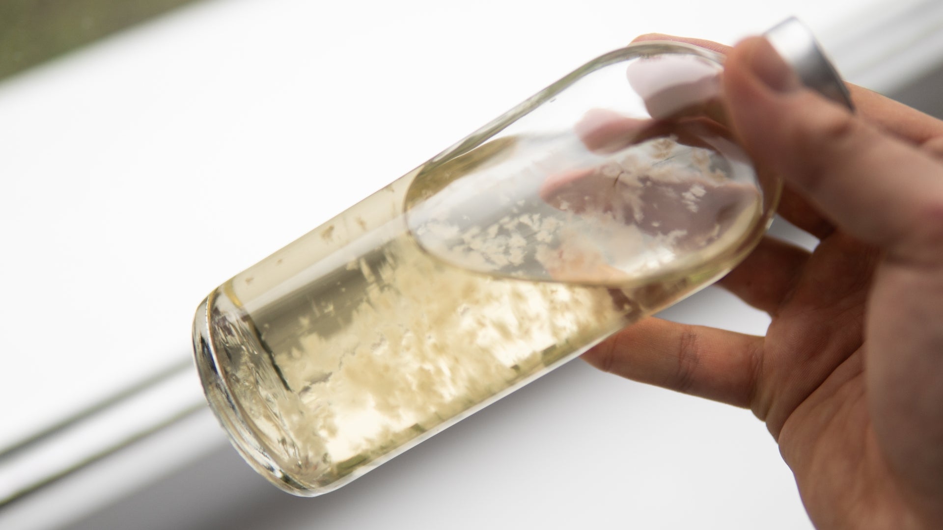 P Envy Culture (FOR RESEARCH ONLY)