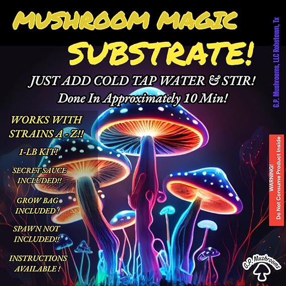 MAGICAL SUBSTRATE  A