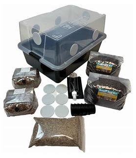 Mushroom Mono tub LARGE 66Q Grow Kit | Complete Mushroom Grow Kit | For Dung-Loving Mushrooms | Includes 2 sterilized Grain Spawn Bags, Bulk Substrate, Vermiculite, Filters & More! Just add Spores